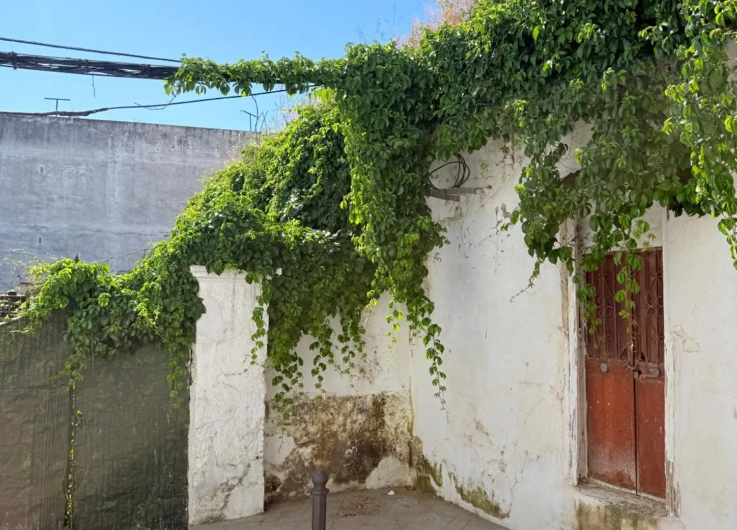 Apartamentos Bodeguetas Constantina
